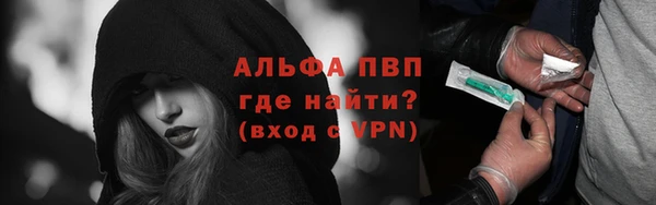 крисы Алзамай