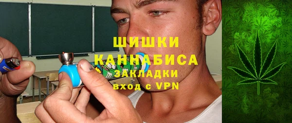 крисы Алзамай