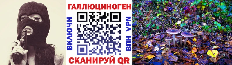 МЕГА купить закладку Асбест Псилоцибиновые грибы Cubensis